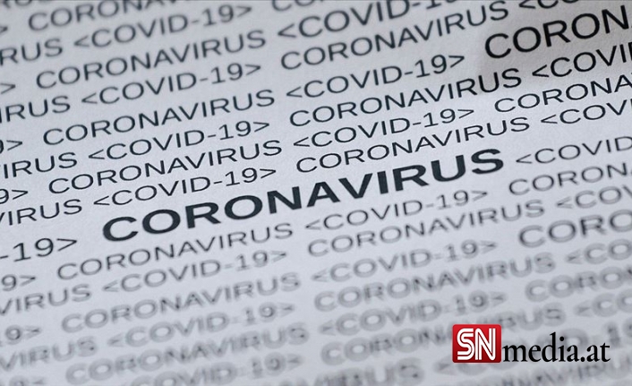 Avusturya'da 229 yeni koronavirüs vakası tespit edildi