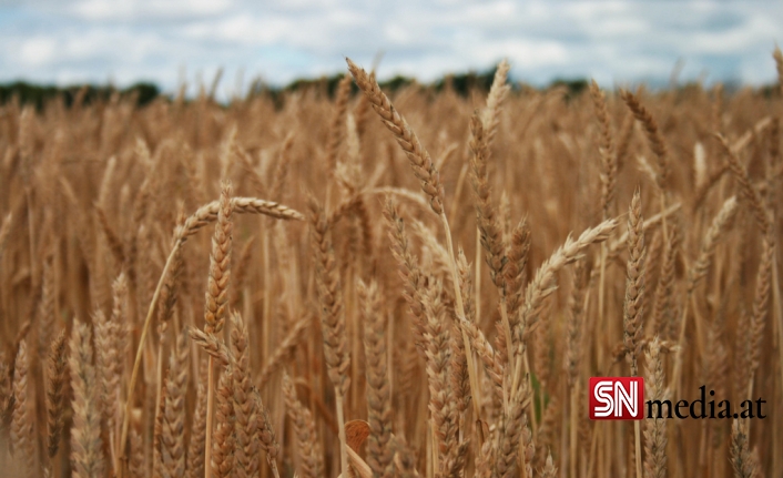 Biden Polonya’da Geçici Tahıl Ambarları Kurmak İstiyor
