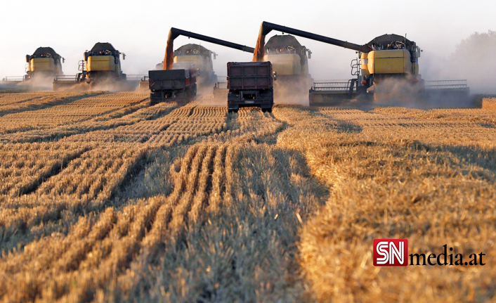 Rusya, Ukrayna'nın tahıllarını mı satıyor?