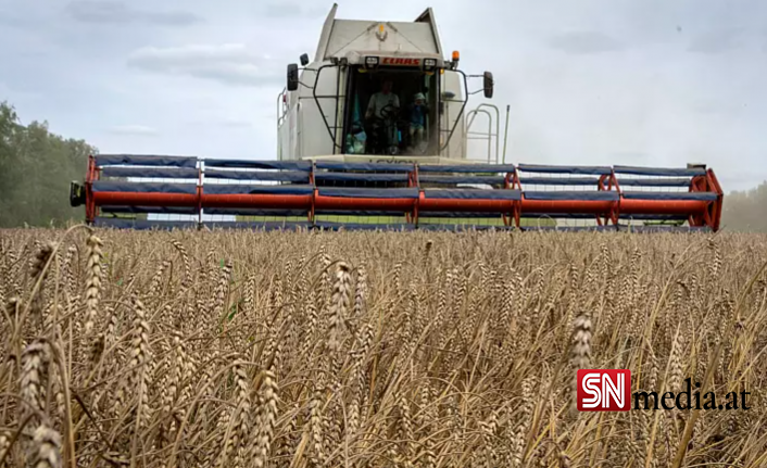 Ukrayna: Tahıl ihracatı artık imkansız, Türkiye: Sorunun çözümü için görüşmeler sürüyor