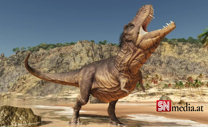76 milyon yıl önce yaşayan yeni bir dinozor türü keşfedildi: T. rex'in atası bulundu mu?