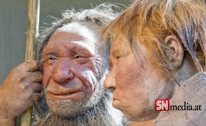 Araştırma: En eski yemek kalıntıları, neandertallerin gurme olduğunu gösteriyor