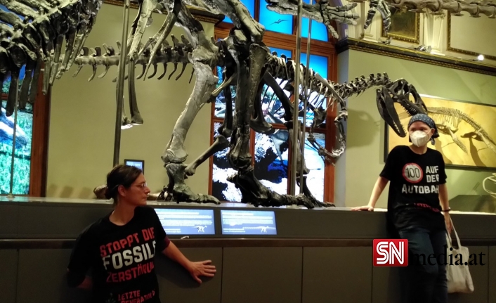 İklim Eylemcileri, Kendini Viyana’daki Dinozor Fosiline Yapıştırdı