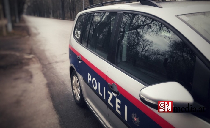 Viyana’da 22 Sürücü Ehliyetini Kaybetti