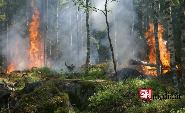 İspanyol Yetkililer, Orman Yangınlarından Kundakçıları Sorunlu Tuttu